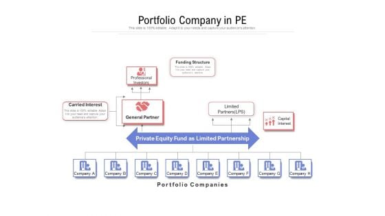 Portfolio Company In PE Ppt PowerPoint Presentation Summary Graphics PDF