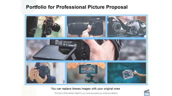 Portfolio For Professional Picture Proposal Ppt Infographics Visuals PDF