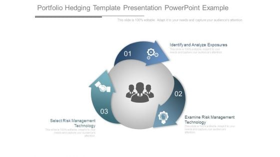 Portfolio Hedging Template Presentation Powerpoint Example