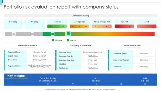 Portfolio Risk Evaluation Report With Company Status Ideas PDF