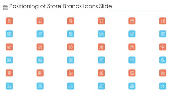 Positioning Of Store Brands Icons Slide Ppt Model Visual Aids PDF