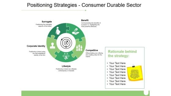 Positioning Strategies Consumer Durable Sector Ppt PowerPoint Presentation Icon Example