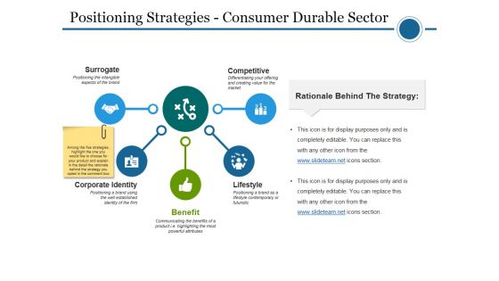 Positioning Strategies Consumer Durable Sector Ppt PowerPoint Presentation Professional Picture