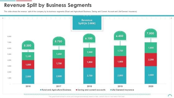 Post Initial Public Offering Equity Financing Pitch Revenue Split By Business Segments Infographics PDF Post Initial Public Offering Equity Financing Pitch Revenue Split By Business Segments Infographics PDF