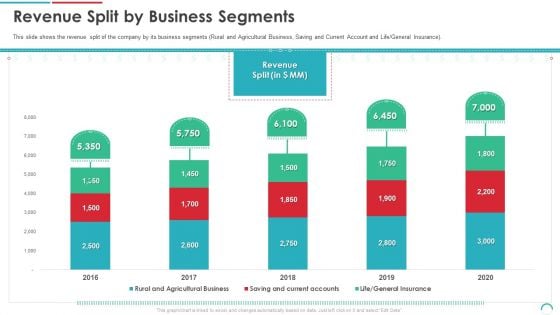 Post Initial Public Offering Equity Financing Pitch Revenue Split By Business Segments Infographics PDF