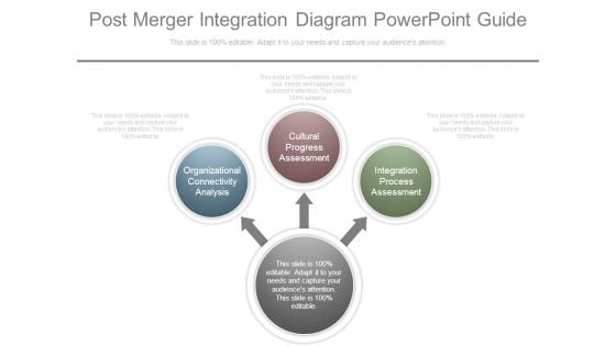 Post Merger Integration Diagram Powerpoint Guide