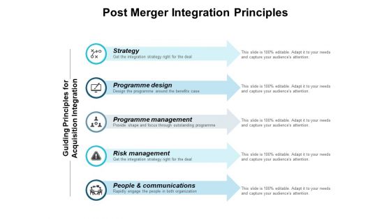 Post Merger Integration Principles Ppt PowerPoint Presentation Styles Structure