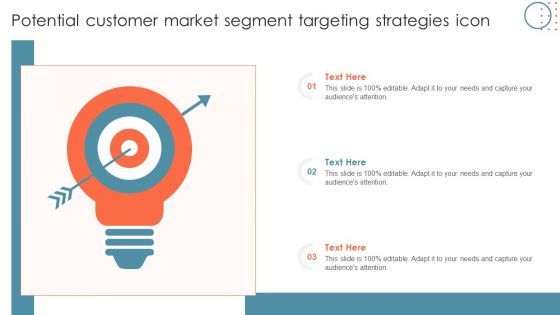 Potential Customer Market Segment Targeting Strategies Icon Portrait PDF