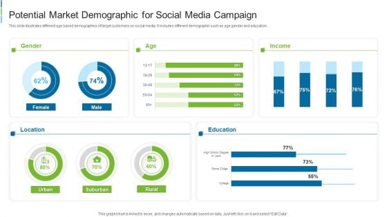 Potential Market Demographic For Social Media Campaign Microsoft PDF