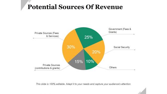 Potential Sources Of Revenue Ppt PowerPoint Presentation Portfolio Designs