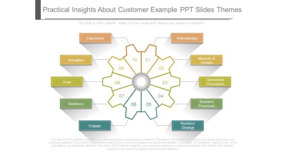 Practical Insights About Customer Example Ppt Slides Themes