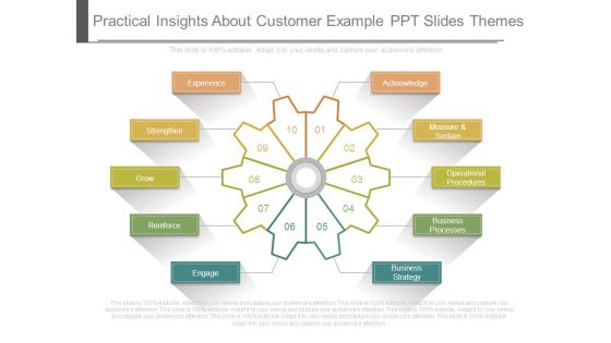 Practical Insights About Customer Example Ppt Slides Themes Practical Insights About Customer Example Ppt Slides Themes