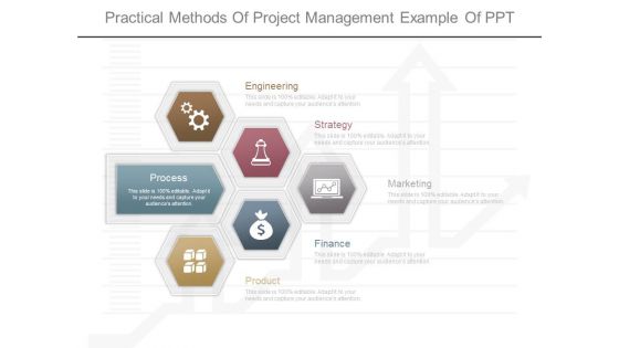 Practical Methods Of Project Management Example Of Ppt