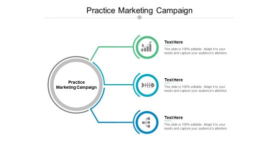 Practice Marketing Campaign Ppt PowerPoint Presentation Infographics Example Cpb