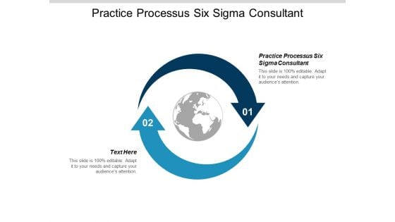 Practice Processes Six Sigma Consultant Ppt Powerpoint Presentation Show Outline Cpb