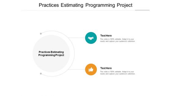 Practices Estimating Programming Project Ppt PowerPoint Presentation Inspiration Example Cpb