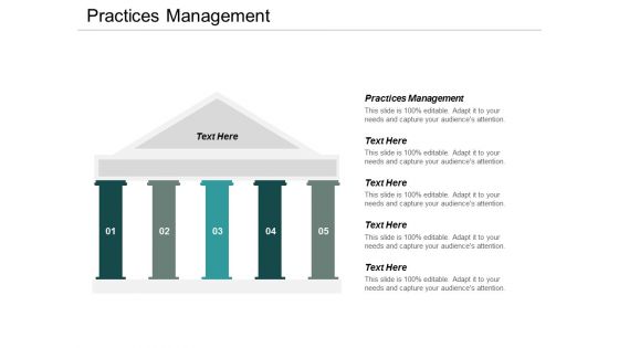 Practices Management Ppt PowerPoint Presentation Infographic Template Icons Cpb