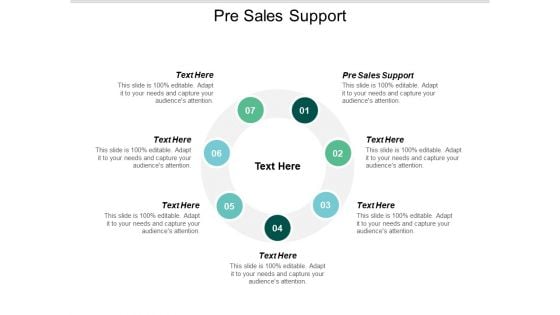 Pre Sales Support Ppt PowerPoint Presentation Styles Infographic Template Cpb