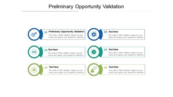 Preliminary Opportunity Validation Ppt PowerPoint Presentation Show Display Cpb