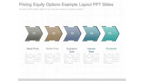 Pricing Equity Options Example Layout Ppt Slides
