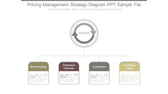 Pricing Management Strategy Diagram Ppt Sample File