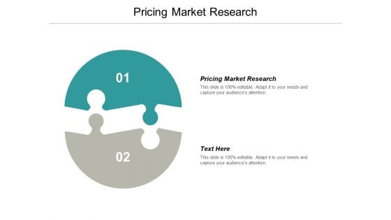 Pricing Market Research Ppt PowerPoint Presentation Model Portrait Cpb