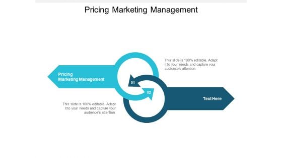 Pricing Marketing Management Ppt PowerPoint Presentation Model Graphics Tutorials Cpb