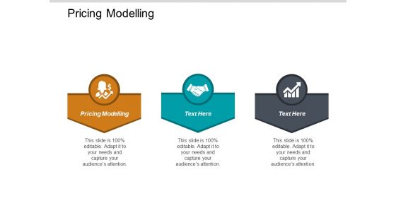 Pricing Modelling Ppt PowerPoint Presentation Summary Gridlines Cpb