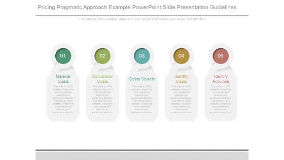 Pricing Pragmatic Approach Example Powerpoint Slide Presentation Guidelines