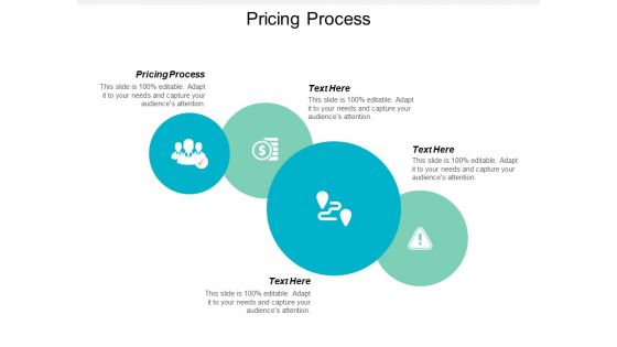 Pricing Process Ppt PowerPoint Presentation Infographic Template Rules Cpb