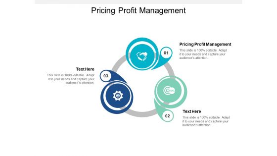 Pricing Profit Management Ppt PowerPoint Presentation Model Skills Cpb