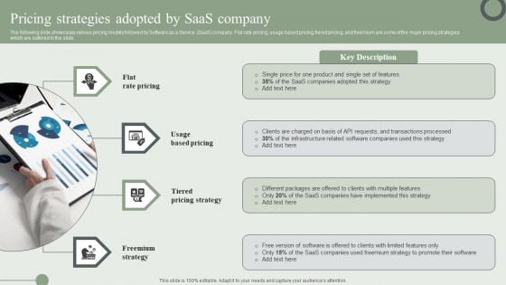 Pricing Strategies Adopted By Saas Company Ppt PowerPoint Presentation File Ideas PDF