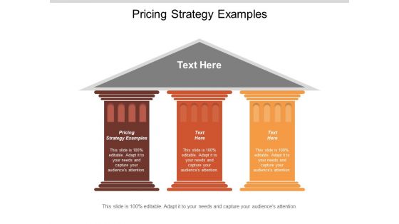 Pricing Strategy Examples Ppt PowerPoint Presentation Gallery Example File Cpb
