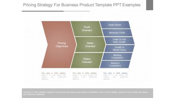 Pricing Strategy For Business Product Template Ppt Examples