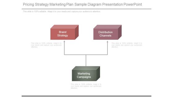 Pricing Strategy Marketing Plan Sample Diagram Presentation Powerpoint