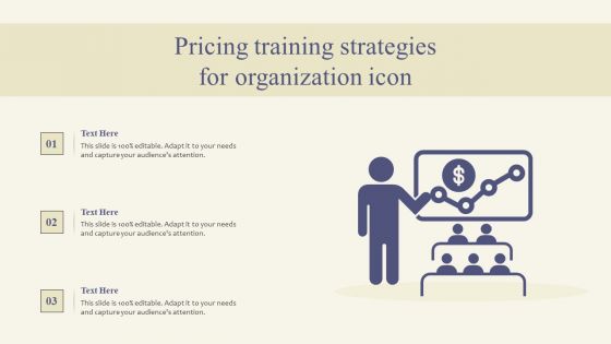 Pricing Training Strategies For Organization Icon Designs PDF