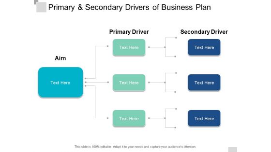 Primary And Secondary Drivers Of Business Plan Ppt PowerPoint Presentation Gallery Backgrounds