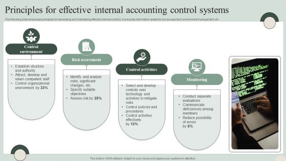 Principles For Effective Internal Accounting Control Systems Portrait PDF
