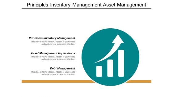Principles Inventory Management Asset Management Applications Debt Management Ppt PowerPoint Presentation File Deck