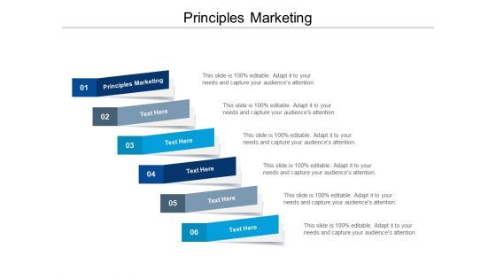 Principles Marketing Ppt PowerPoint Presentation Infographics Icons Cpb