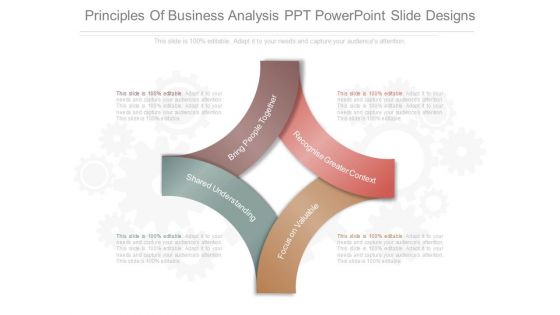 Principles Of Business Analysis Ppt Powerpoint Slide Designs