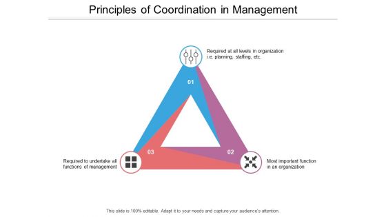 Principles Of Coordination In Management Ppt Powerpoint Presentation Styles Inspiration
