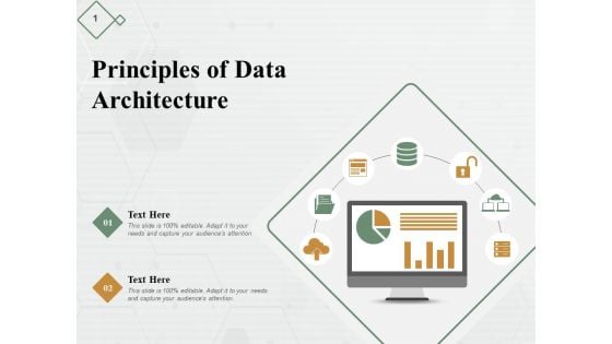 Principles Of Data Architecture Ppt PowerPoint Presentation Inspiration