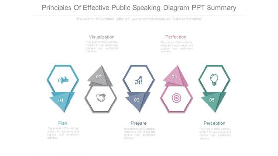 Principles Of Effective Public Speaking Diagram Ppt Summary