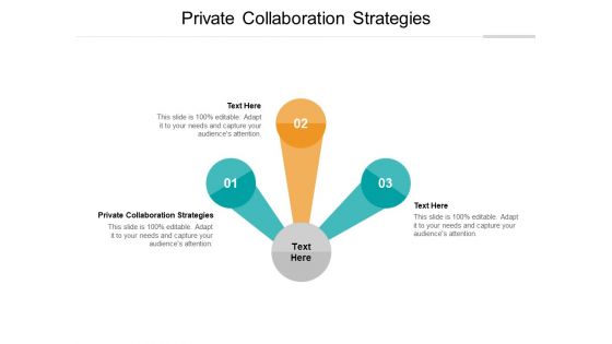 Private Collaboration Strategies Ppt PowerPoint Presentation Outline Visuals Cpb