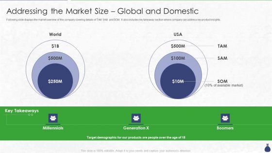 Private Equity Funding Addressing The Market Size Global And Domestic Ppt Layouts Visuals PDF