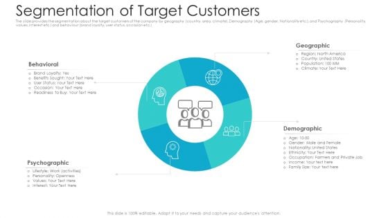 Private Equity Fundraising Pitch Deck Segmentation Of Target Customers Ppt Clipart PDF