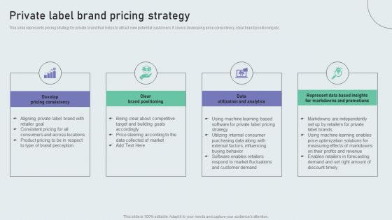 Private Label Brand Pricing Strategy Techniques To Build Private Label Brand Themes PDF