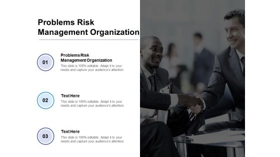 Problems Risk Management Organization Ppt PowerPoint Presentation Infographics Example Cpb