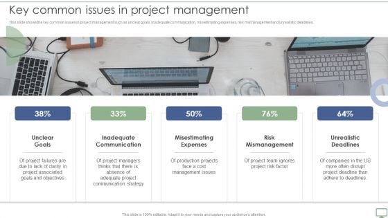 Procedure To Establish Project Administration Program Key Common Issues In Project Management Formats PDF